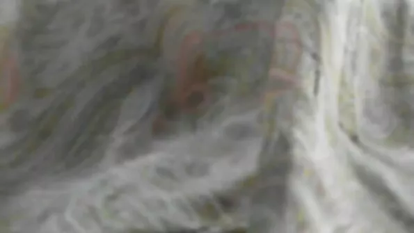 Дисципліна починається з кінця. порно красивих