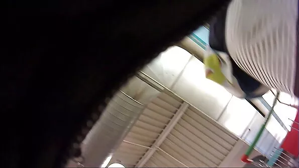 Домашні красиве порно онлайн стрибки.